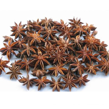 20kg / Carton Fresh New Crop Star Anise Grande Fornecedor